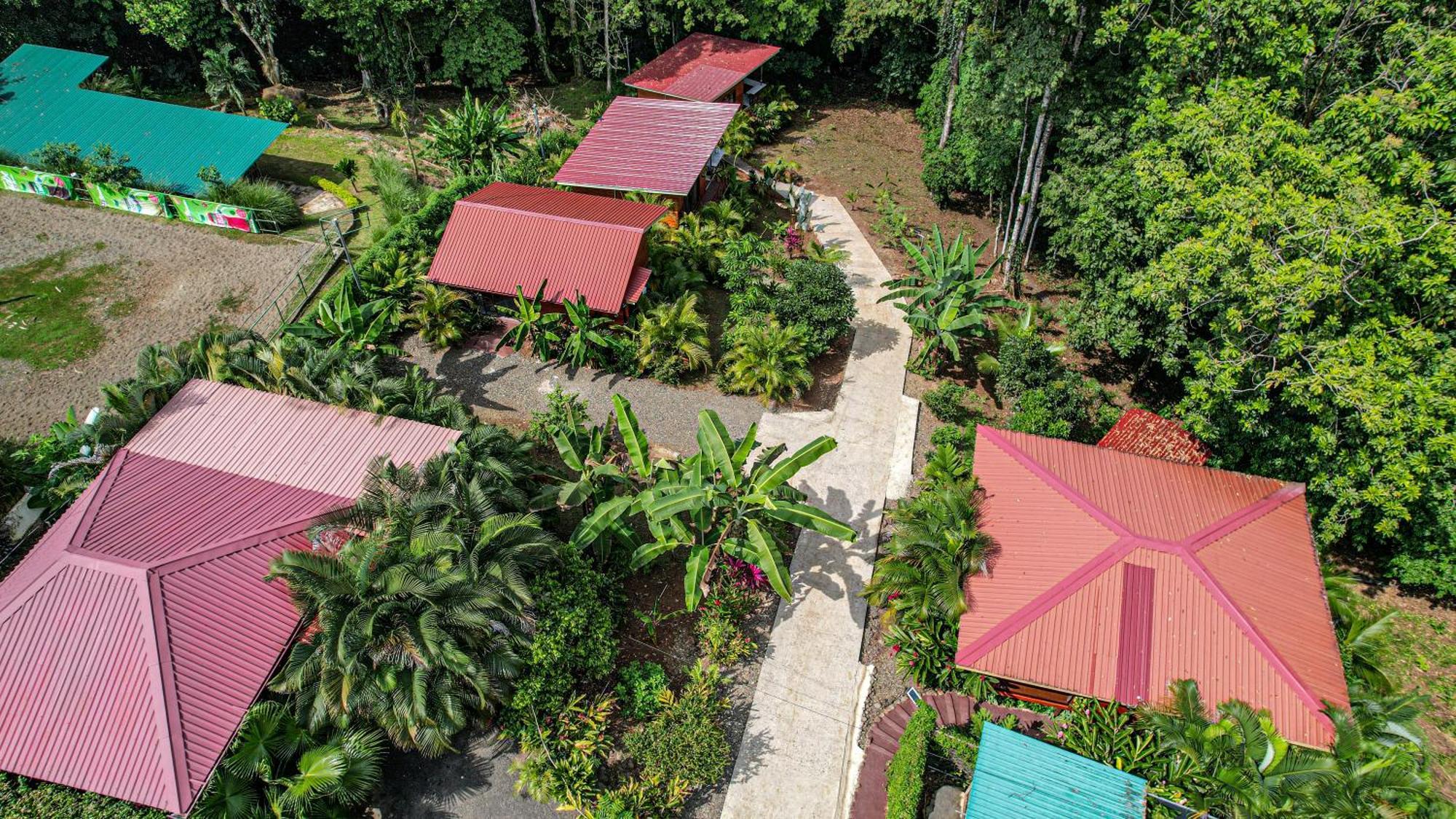 Bungalows Las Iguanas Arenal Volcano La Fortuna ภายนอก รูปภาพ